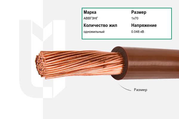 Силовой кабель АВВГЗНГ 1х70 мм